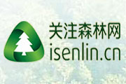 關注森林